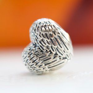 PANDORA Angelic Feathers Charm 791751